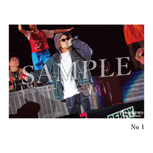 甲子園 LIVE 2023 ライブフォト[HiDEX]