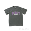 2024サマーロゴTシャツ TYPE-B